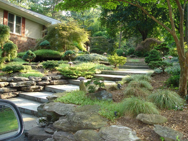 Inexpensive Backyard Landscaping Ideas
 Landscape Design