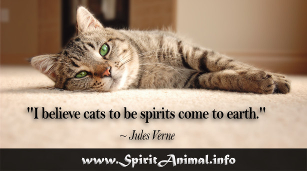 Inspirational Cat Quotes
 Cat Quotes Spirit Animal Info