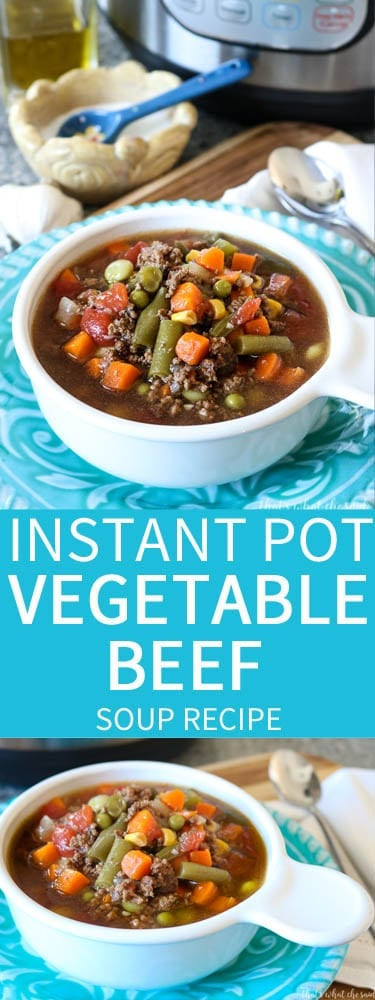 Instant Pot Beef Soup Recipes
 Instant Pot Ve able Beef Soup – That s What Che Said