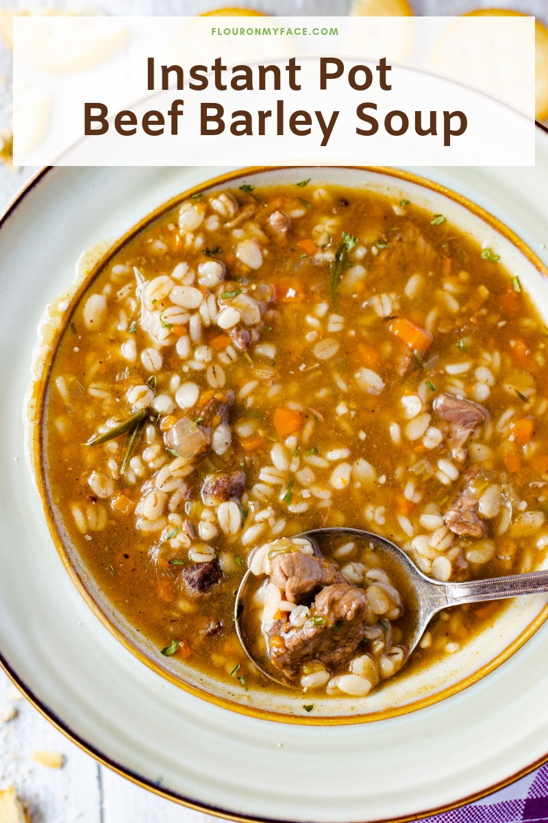 Instant Pot Beef Soup Recipes
 Instant Pot Beef Barley Soup Quick and Delicious Flour