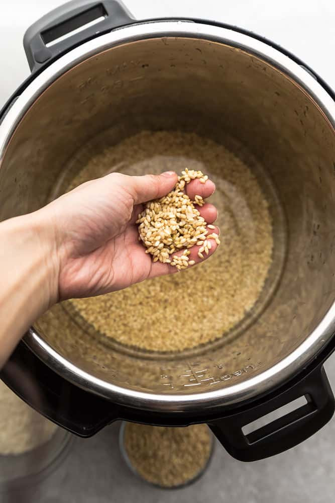 Instant Pot Long Grain Brown Rice
 How to Cook White or Brown Rice Perfectly in the Instant Pot