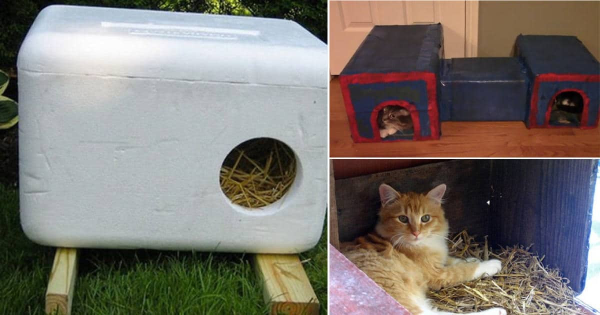 Insulated Outdoor Cat House DIY
 23 DIY Insulated Cat House Ideas For Outdoor Cats ⋆ Bright