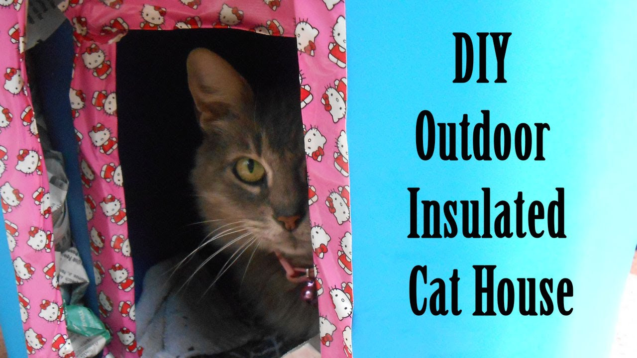 Insulated Outdoor Cat House DIY
 DIY outdoor insulated cat house