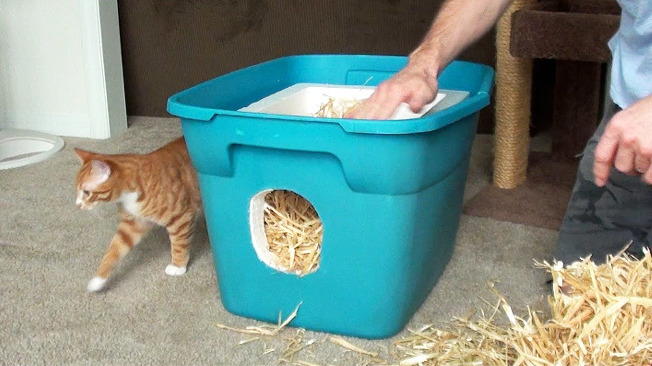 Insulated Outdoor Cat House DIY
 Insulated cat house cost How to build an outdoor