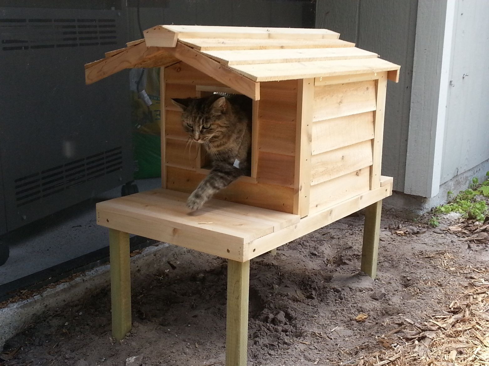 Insulated Outdoor Cat House DIY
 outside cat house Google Search …