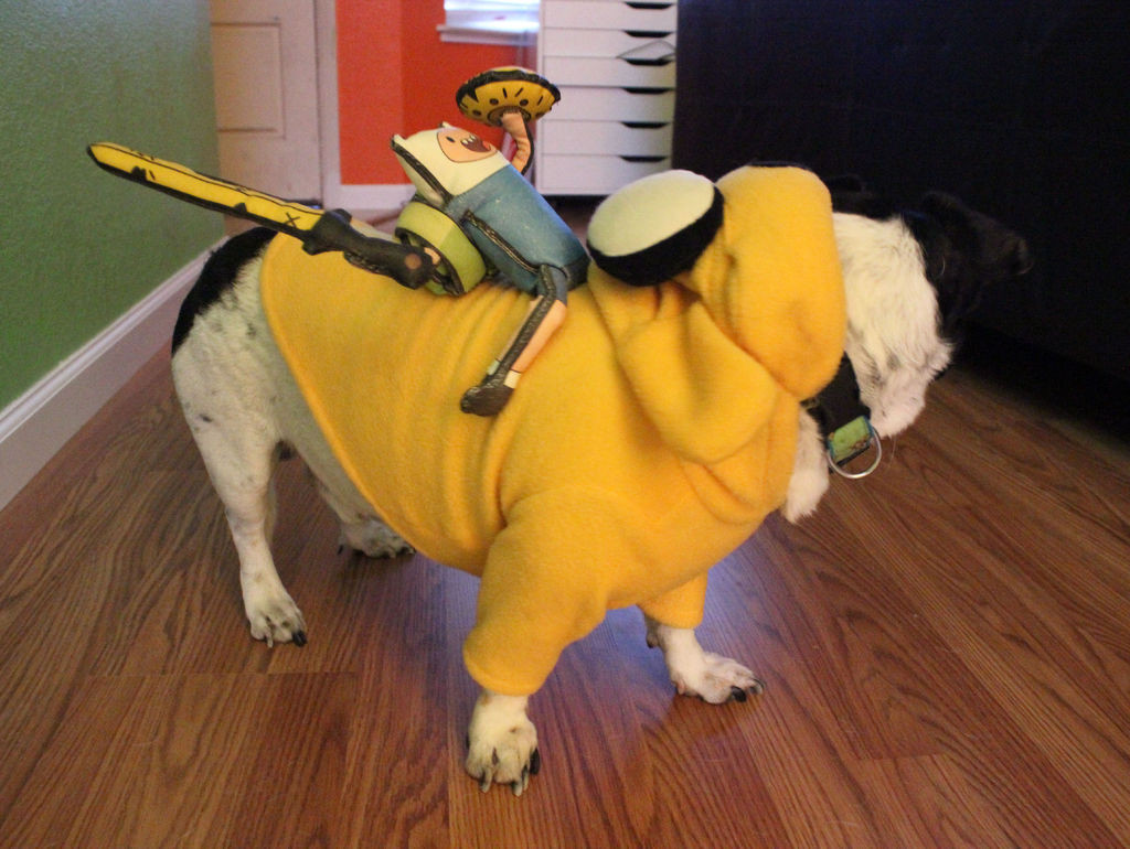 Jake The Dog Costume DIY
 ADVENTURE TIME JAKE THE DOG DOG COSTUME 6 Steps with