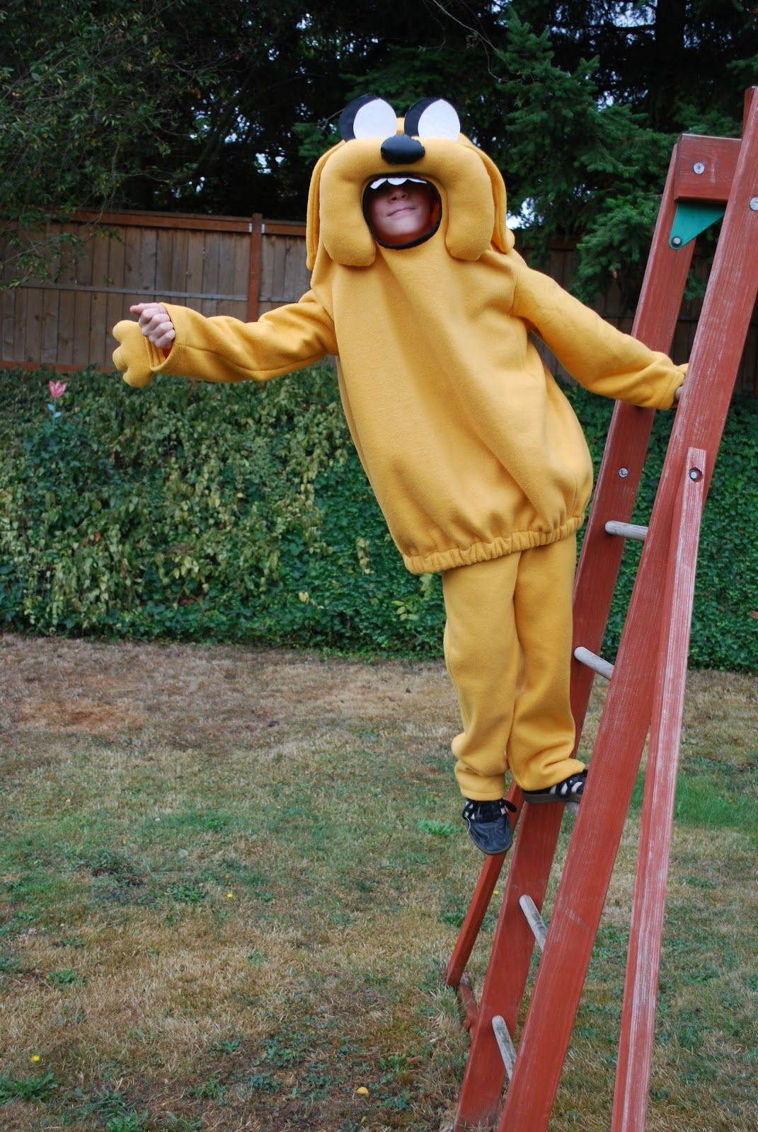 Jake The Dog Costume DIY
 Adventure Time Times Two