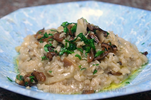 Jamie Oliver Mushroom Risotto
 Risotto with grilled oyster and shiitake mushrooms