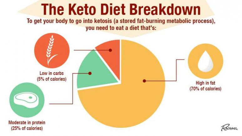 Keto Diet Breakdown
 What Is the Keto Diet
