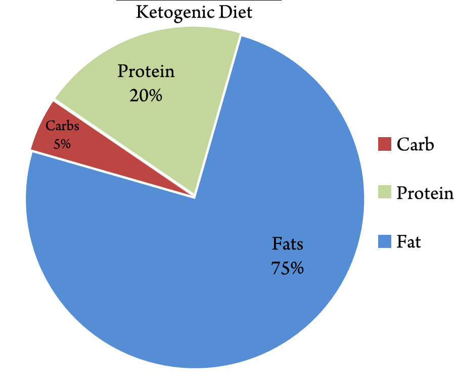 Keto Diet Breakdown
 Is the Brain Fueled by Fat Protein or Carbs