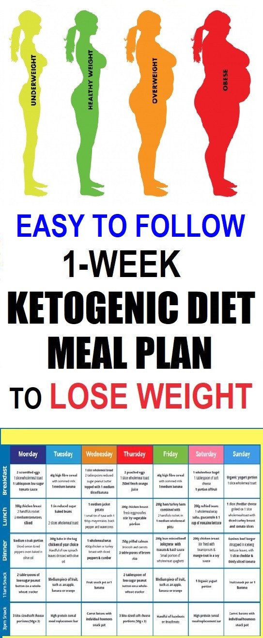 Keto Diet Meal Planner
 Easy To Follow e Week Ketogenic Diet Meal Plan To Lose