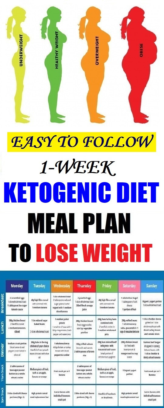 Keto Diet Meal Planner
 Easy To Follow e Week Ketogenic Diet Meal Plan To Lose