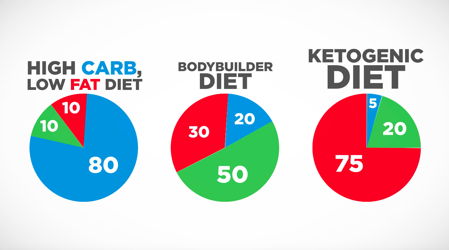 Keto Diet Ratio
 Differences Between e Meal a Day Keto VS e Meal a Day