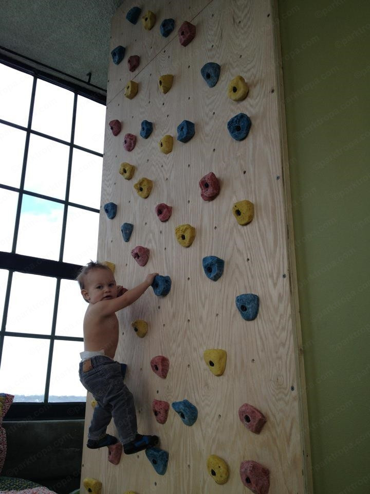 Kids Indoor Climbing Wall
 Home climbing wall Adventure Parks TROPA