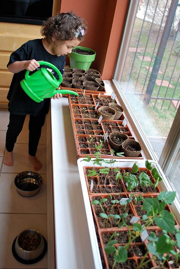 Kids Indoor Garden
 17 Fun And Easy Indoor Gardening For Kids