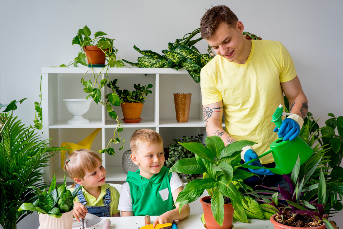 Kids Indoor Garden
 Indoor Garden Projects For Kids Plus Plants that Stimulate