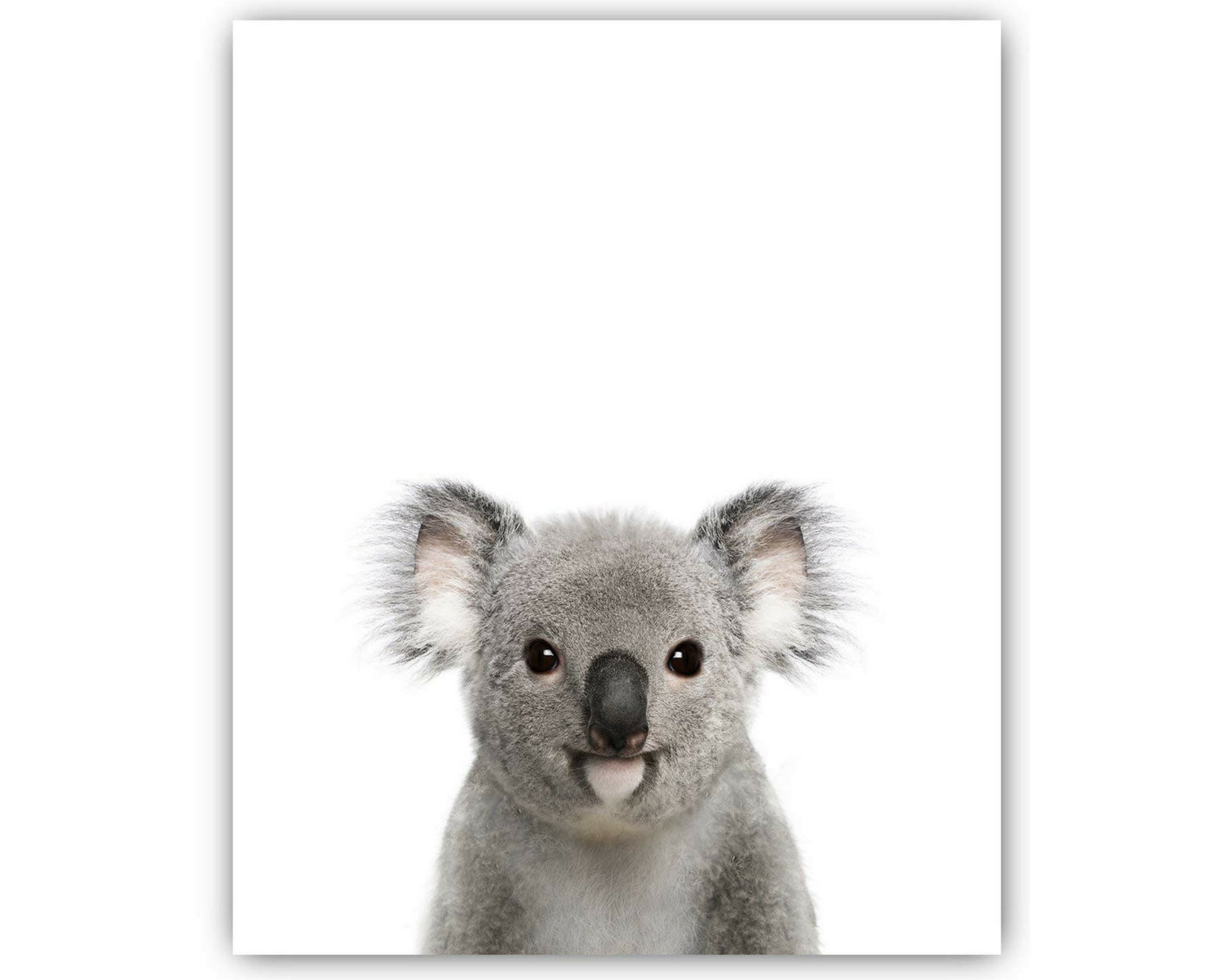 Koala Baby Wood Wall Decor
 UNFRAMED Baby Koala Portrait Baby Animals Nursery Decor
