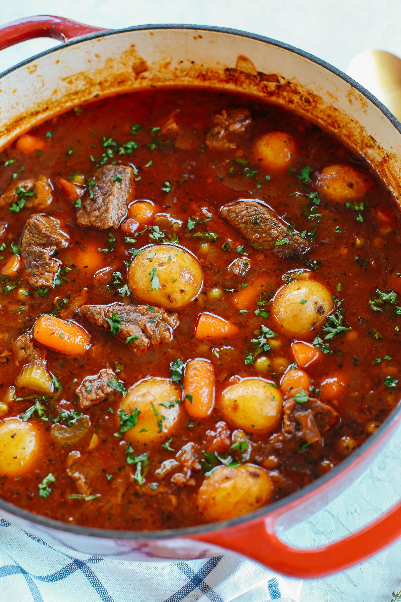Lamb Stew Meat
 Beef and Tomato Stew Instant Pot Slow Cooker and Stove