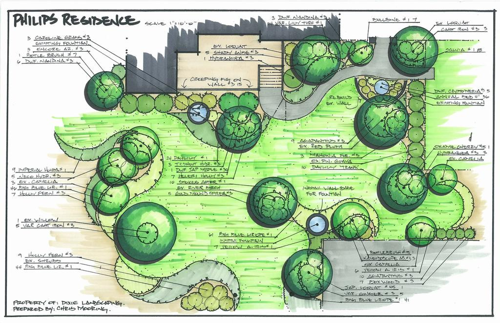 Landscape Design Drawing
 Landscape Design