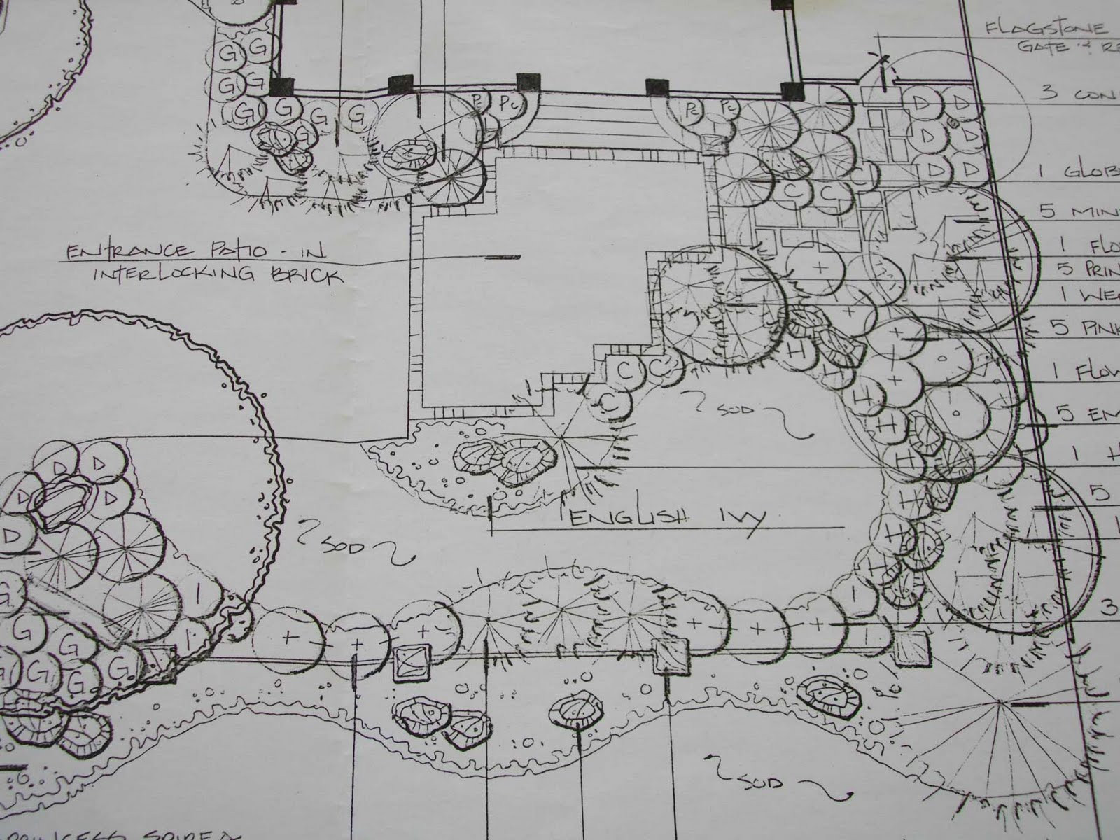 Landscape Design Drawing
 The Cheeky Designer A landscape plan