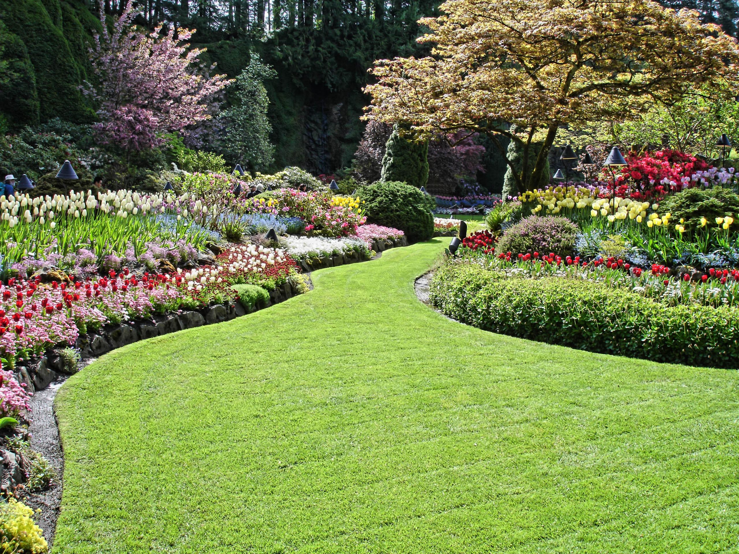 Landscape Design Services
 Seek Effective Landscaping Design Installation and Lawn
