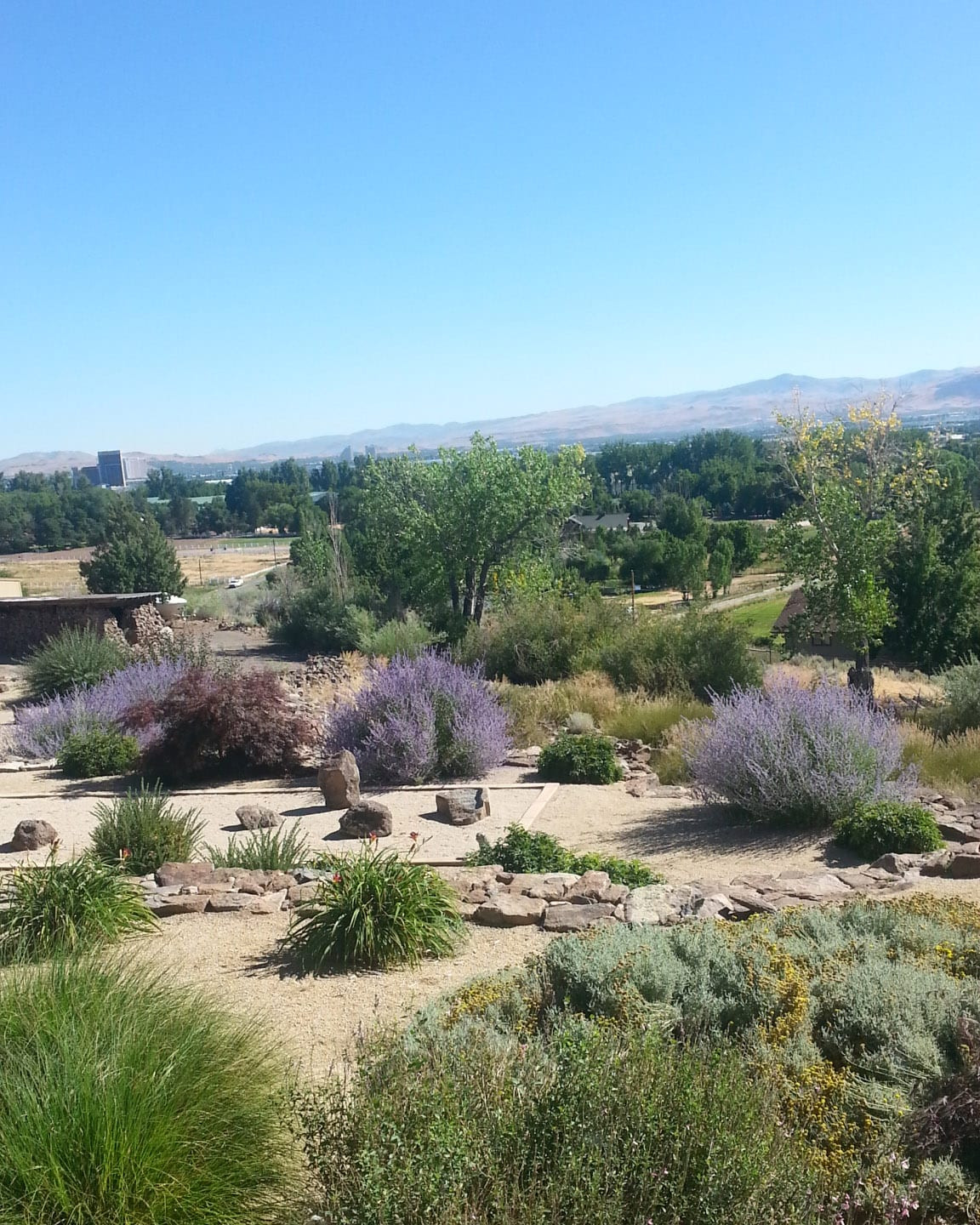 Landscape Designers Reno
 About Legends Landscaping Reno Sparks