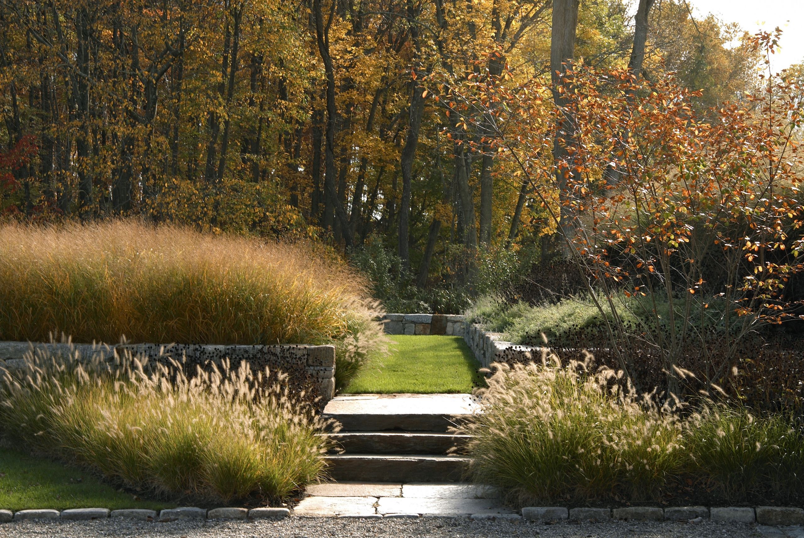 Landscape Fountain Architecture
 Gardening 101 Fountain Grass Gardenista