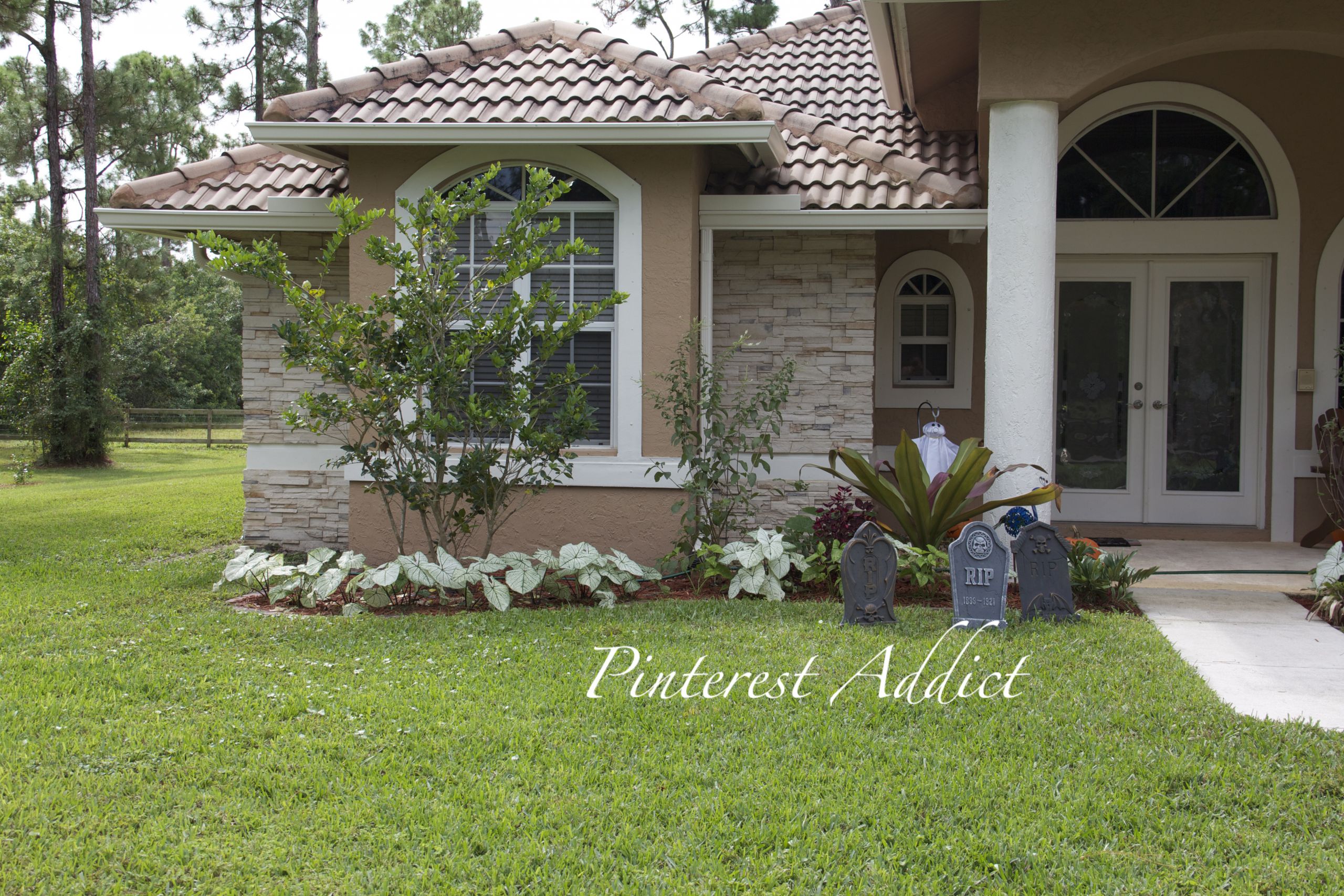 Landscape Front Of House
 Freshly painted door e on in Pinterest Addict