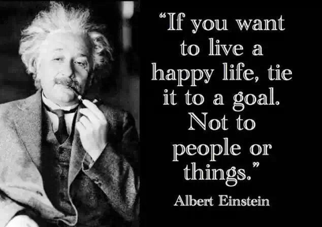 Life Goals Quotes
 Albert Einstein Quotes & Sayings 1452 Quotations