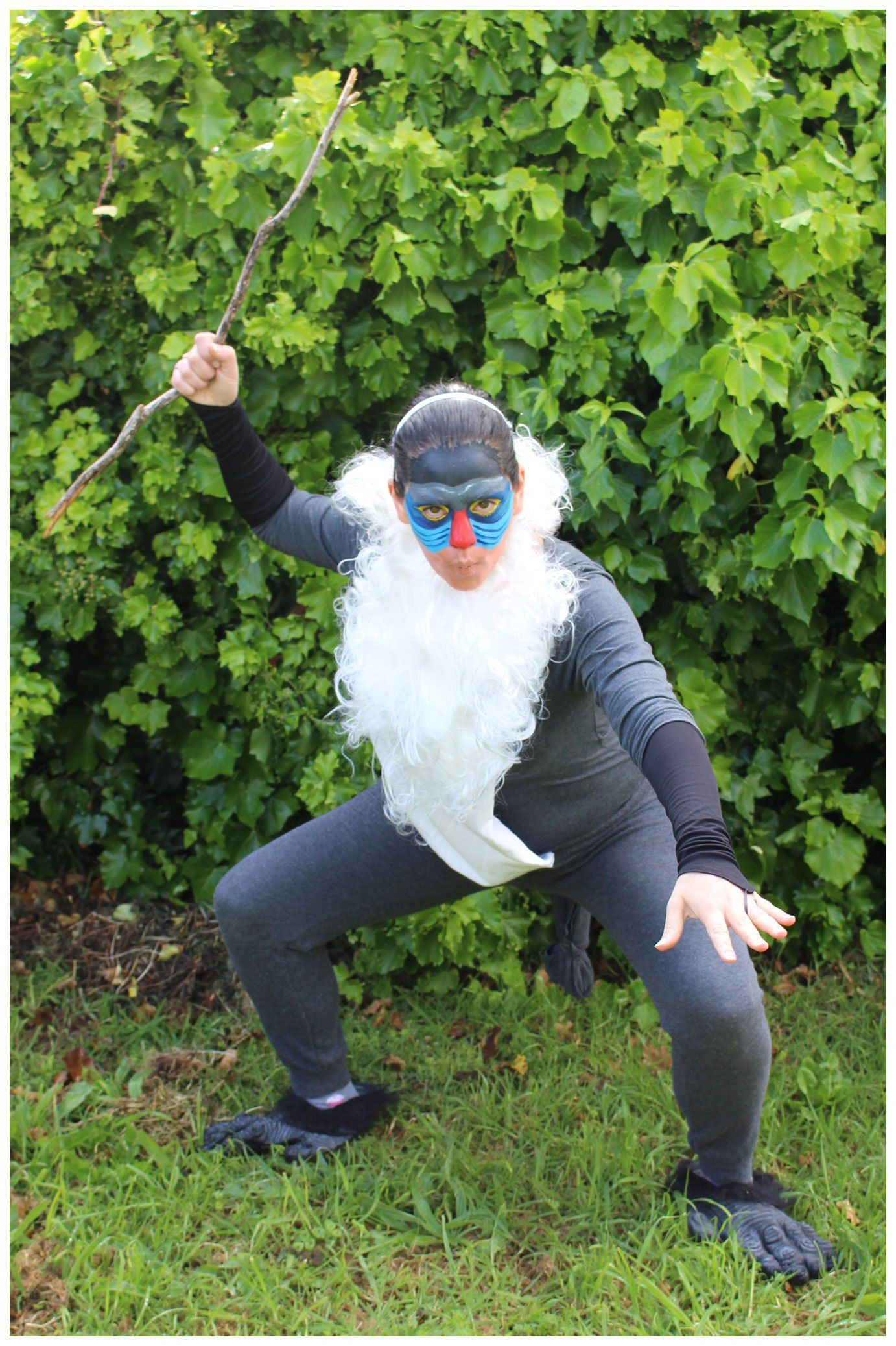 Lion King Costumes DIY
 Rafiki from The Lion King Costume Get more costume and