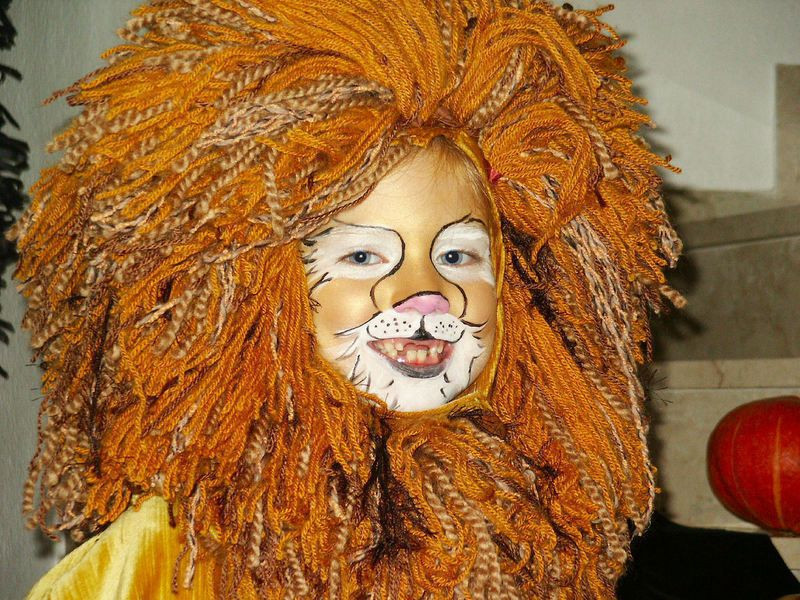 Lion King Costumes DIY
 lion costume diy Google Search
