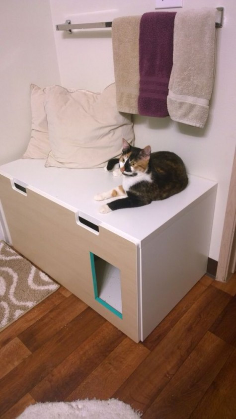 Litter Box Storage Bench
 25 IKEA Stuva Ideas And Hacks For Your Home