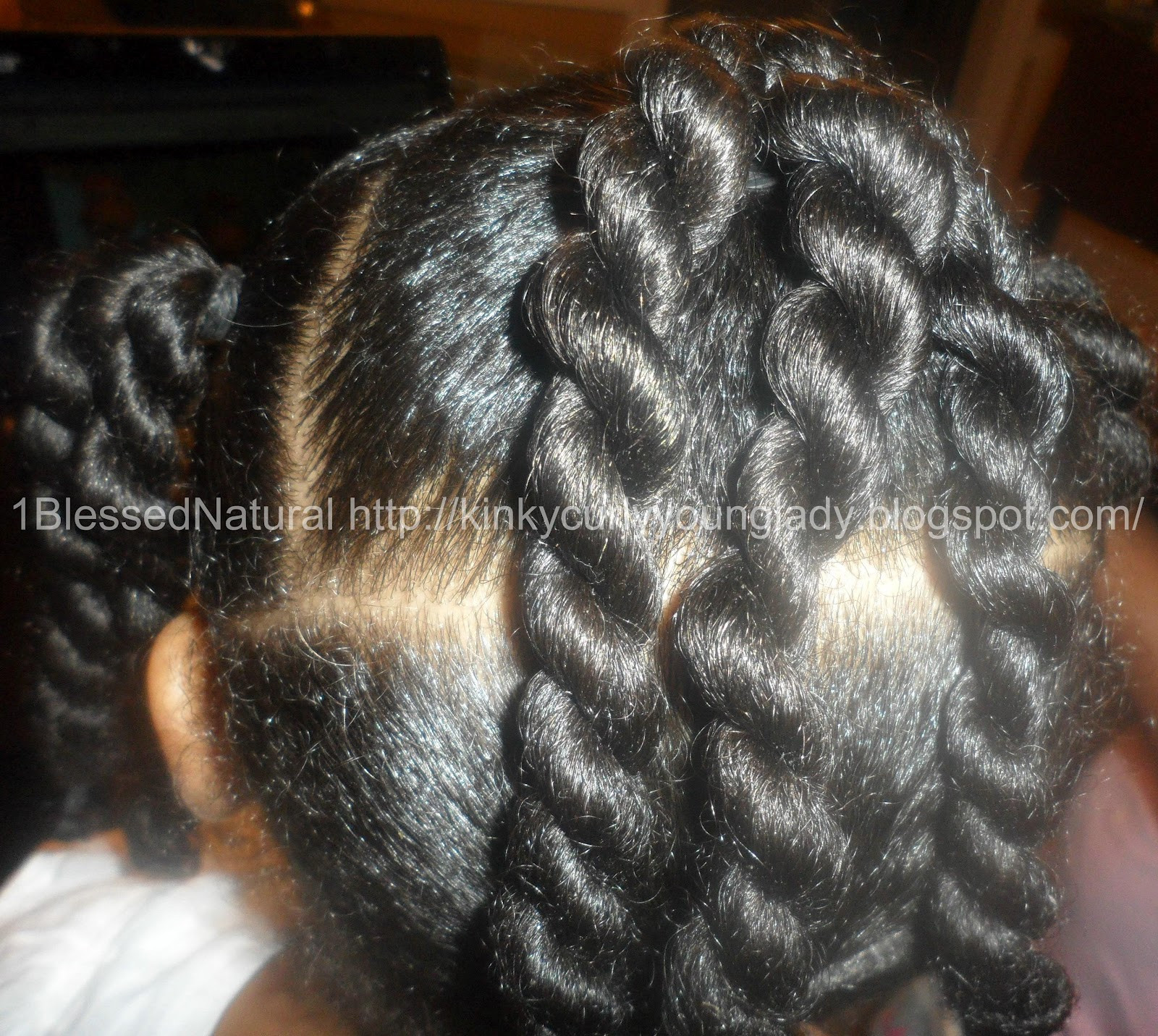 Little Girl Two Strand Twist Hairstyles
 Little Girl with Two Strand Twists