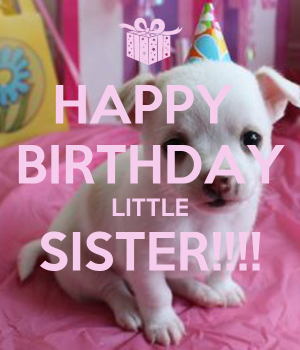 Little Sister Birthday Quotes Funny
 Happy Birthday Little Sister Quotes QuotesGram