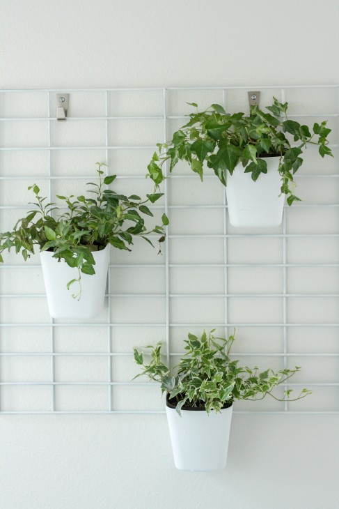 Living Wall Planters Indoor
 23 Cool DIY Wall Planter Ideas For Vertical Gardens – The