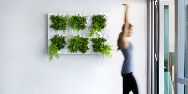 Living Wall Planters Indoor
 Indoor Living Wall Planter = Easy Vertical Gardening