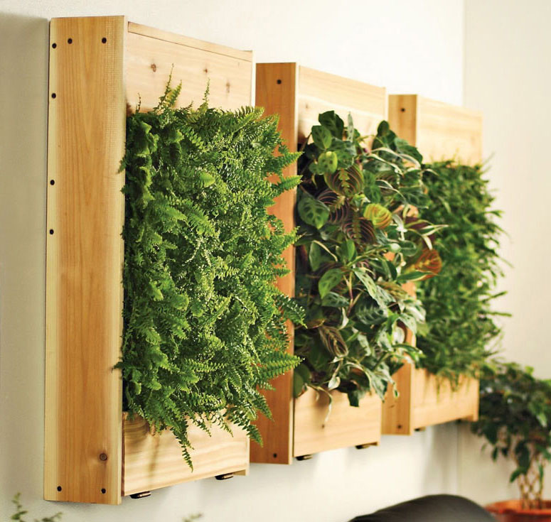 Living Wall Planters Indoor
 Indoor Living Wall Planters The Green Head
