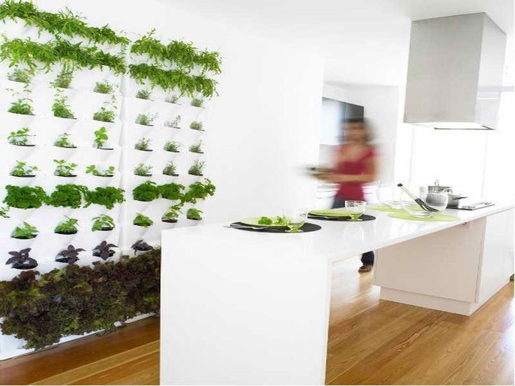 Living Wall Planters Indoor
 24 best Indoor Living Wall Planters Ideas images on