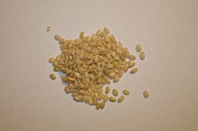 Long Grain Vs Short Grain Brown Rice
 How to Pressure Cook Different Types of Rice Part II