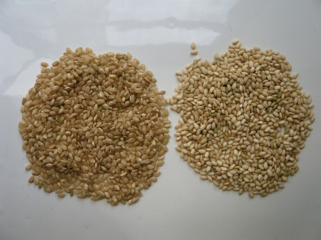 Long Grain Vs Short Grain Brown Rice
 whole grain brown rice vs long grain brown rice