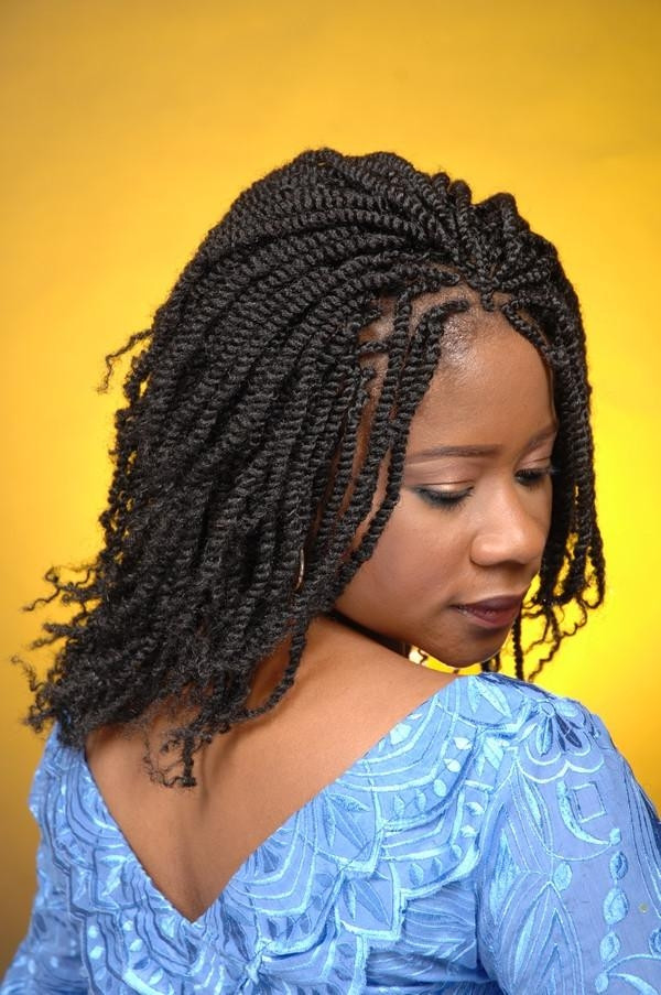 Long Kinky Twist Hairstyles
 15 Inspirations of Long Kinky Hairstyles