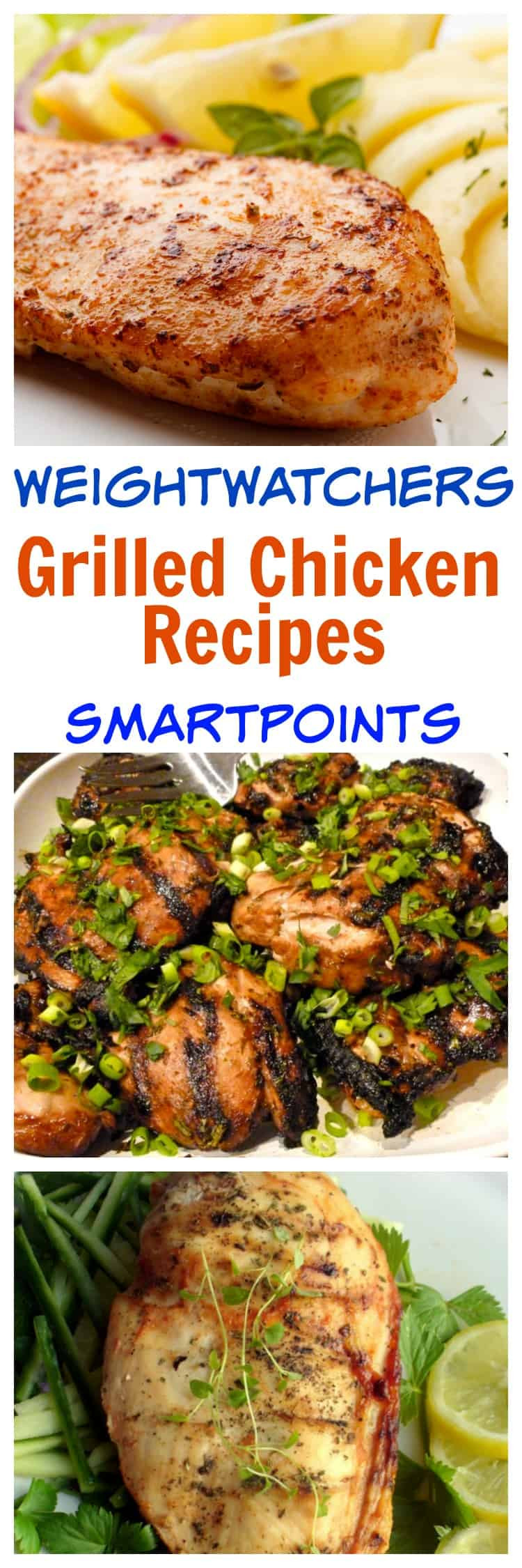 Low Calorie Grilled Chicken Recipes
 27 Low Calorie Grilled Chicken Recipes