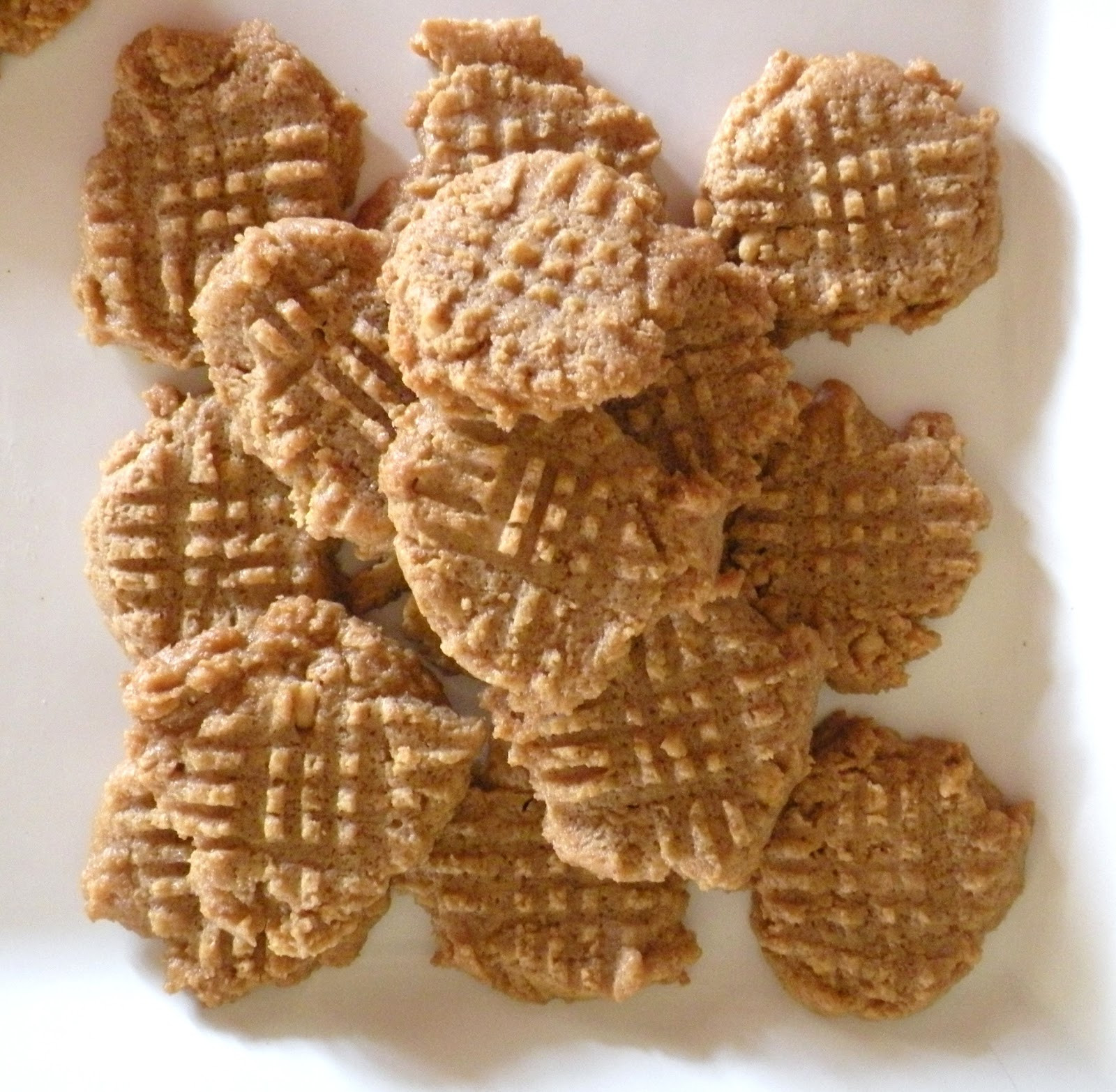 Low Carb Butter Cookies
 Super Easy Peanut Butter Cookies Low Carb & Gluten Free