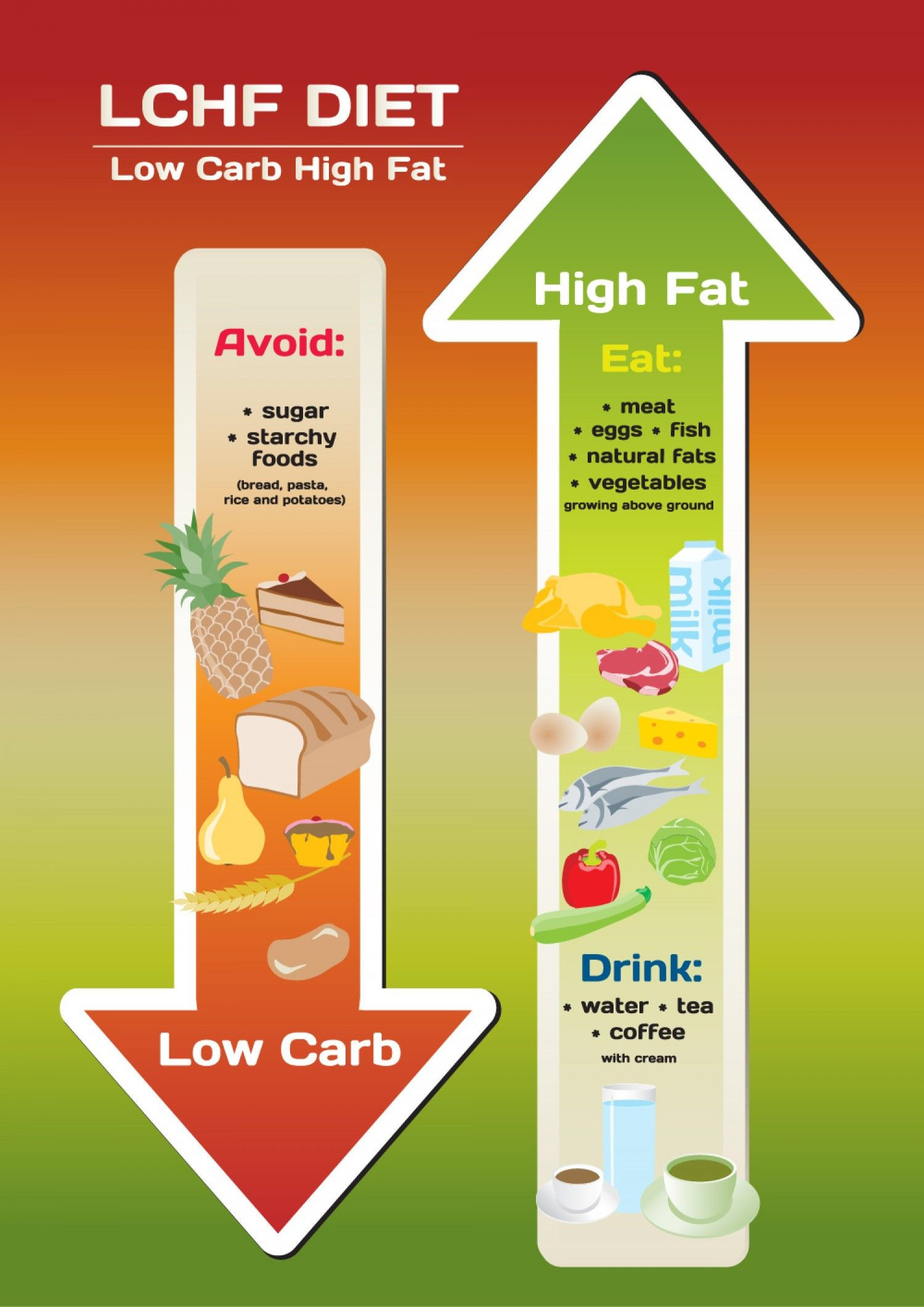Low Carb High Fat Diet Recipes
 The LCHF Diet Infographic