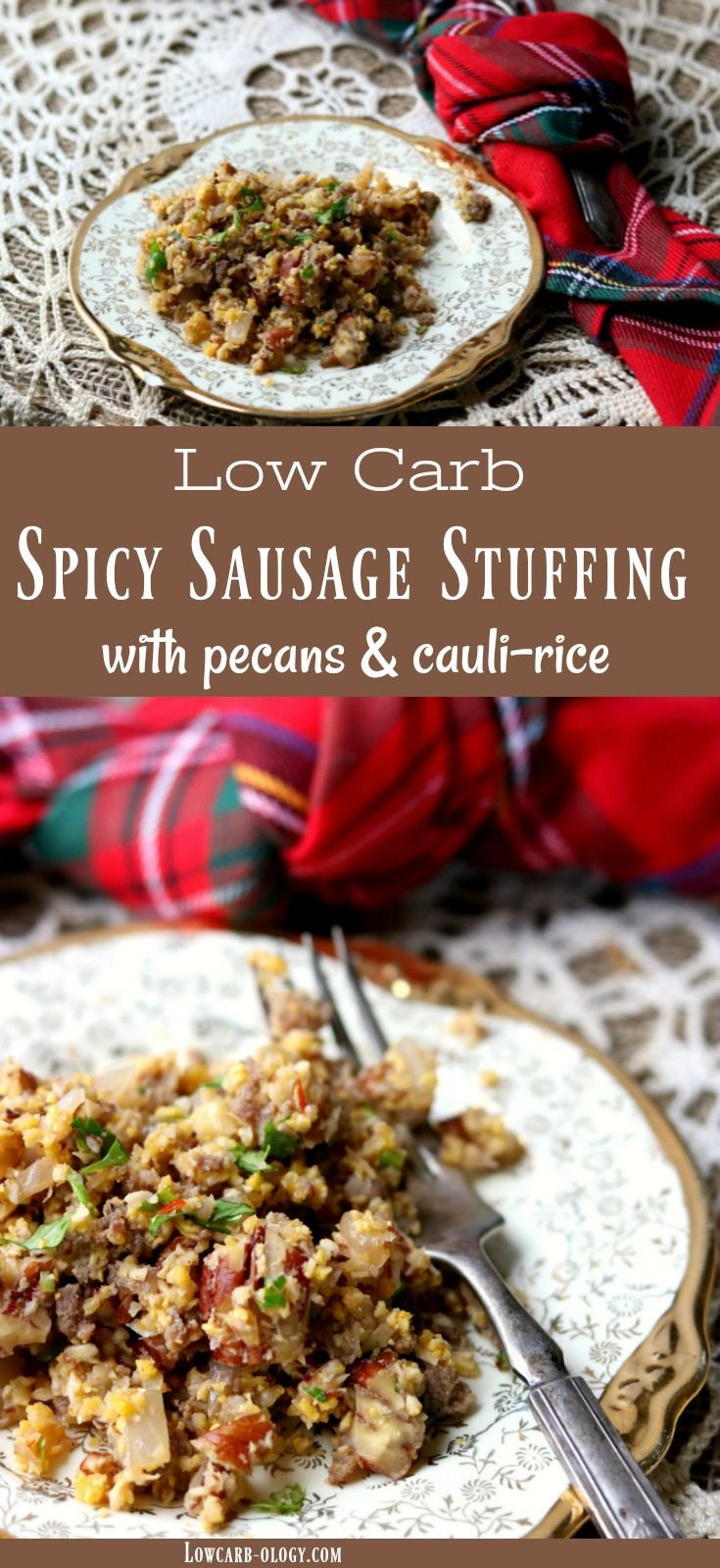 Low Carb Holiday Recipes
 Low Carb Stuffing Recipe Spicy Sausage and Pecan