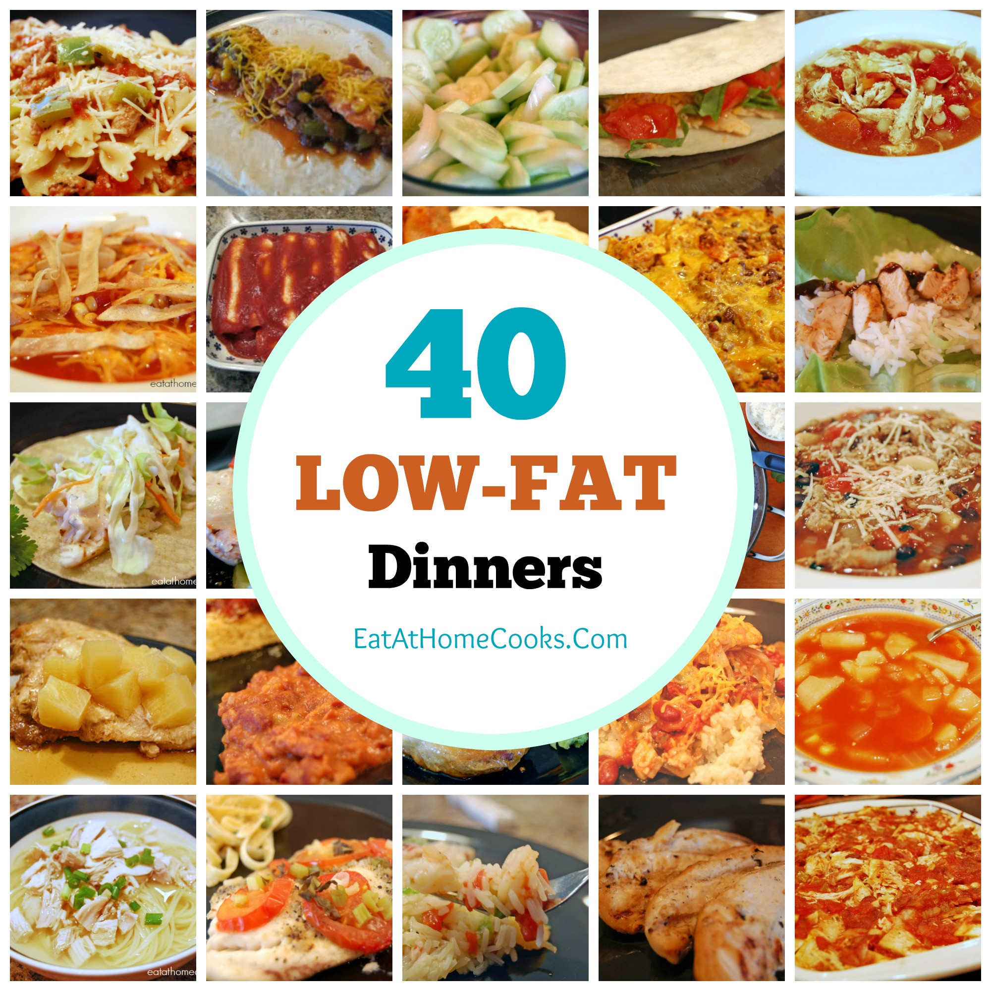 Low Fat Low Calorie Recipes
 My Big Fat List of 40 Low Fat Recipes Eat at Home