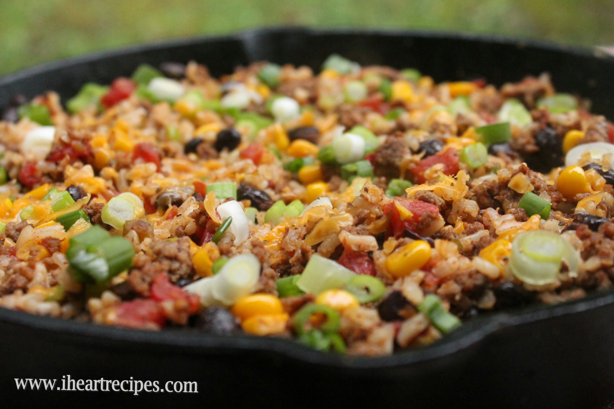 Low Fat Recipes With Ground Beef
 Tex Mex Beef Skillet
