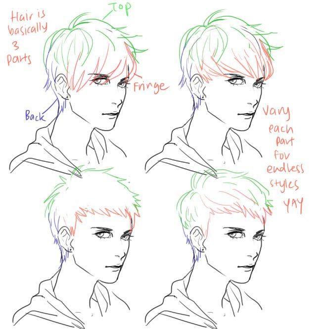 Male Hairstyle Drawing
 Hair Male