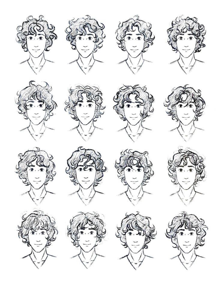 Male Hairstyle Drawing
 Curly hair reference for guys Totally need this