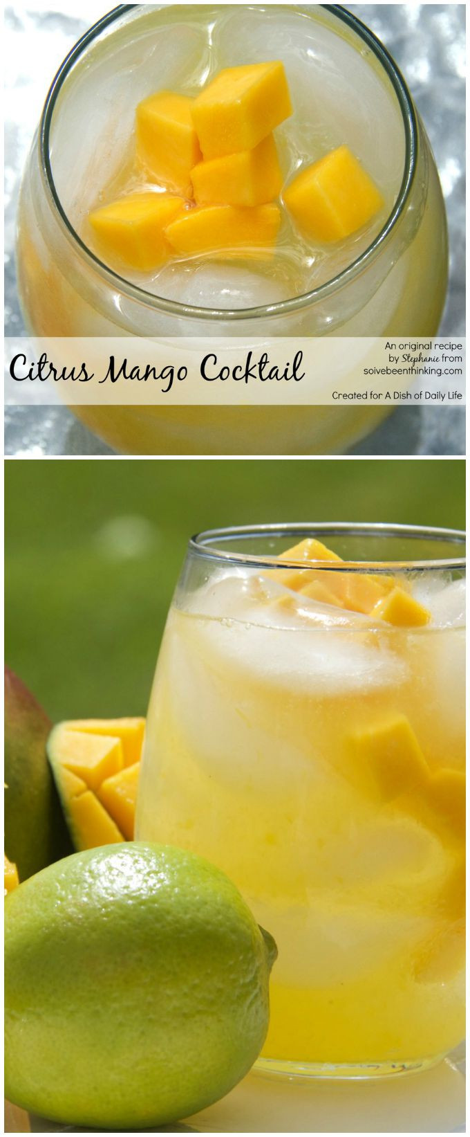 Mango Cocktail Recipes
 Citrus Mango Cocktail Recipe A Dish of Daily Life